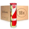 Wilson Team W Practice 18x 4er Dose Im Karton -Bestes Tennis Geschäft 0157800000 000 1